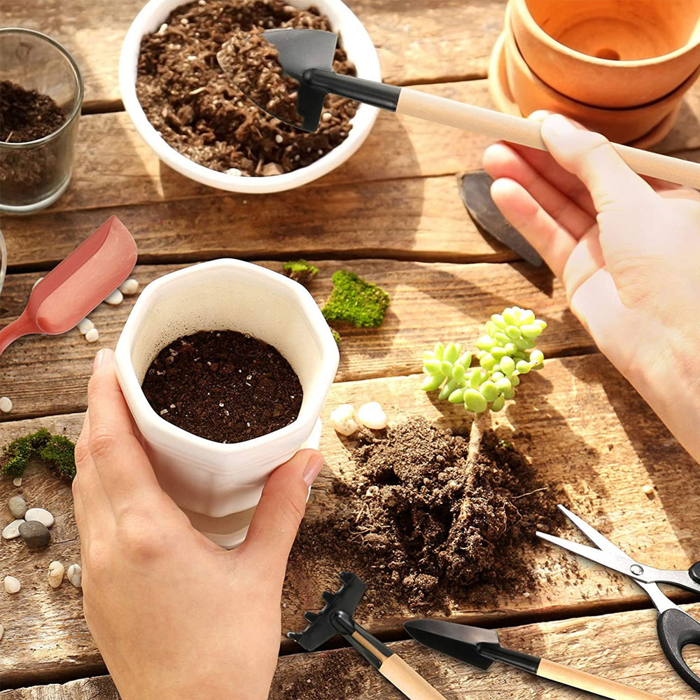 Succulent Plants Tools Mini Ga - Succulent Set 评论和价格