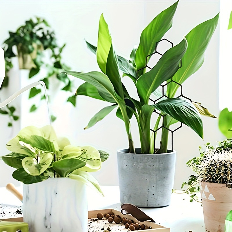 1PC Honeycomb Design Plant Tre - Pothos 评论和价格