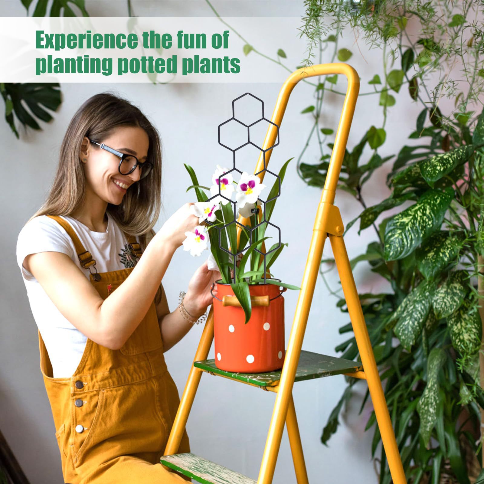 1PC Honeycomb Design Plant Tre - Pothos 评论和价格