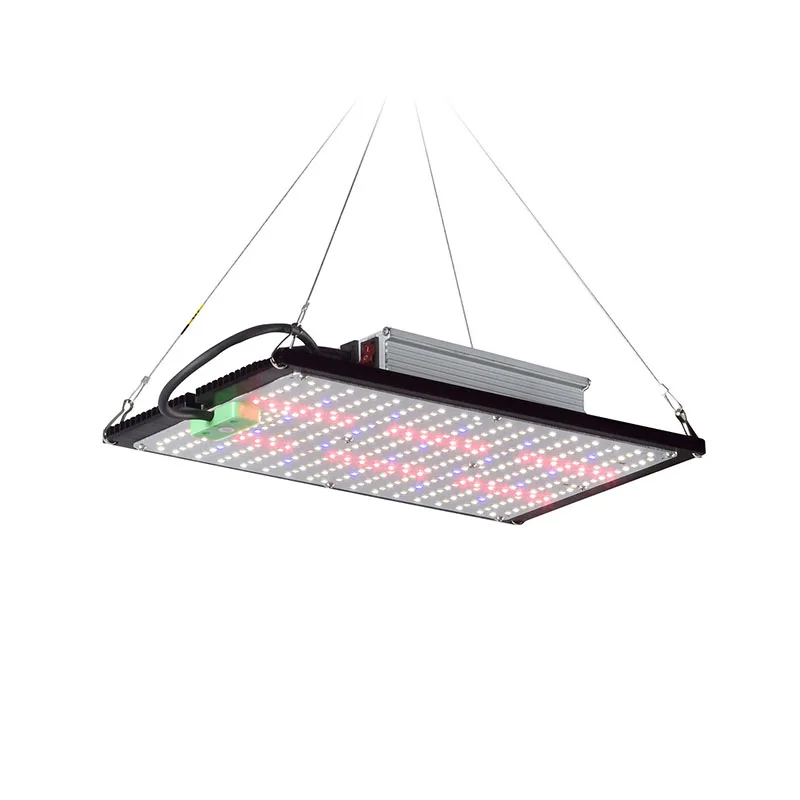 LED Quantum‑Board Grow Light F - Indoor Plants 评论和价格