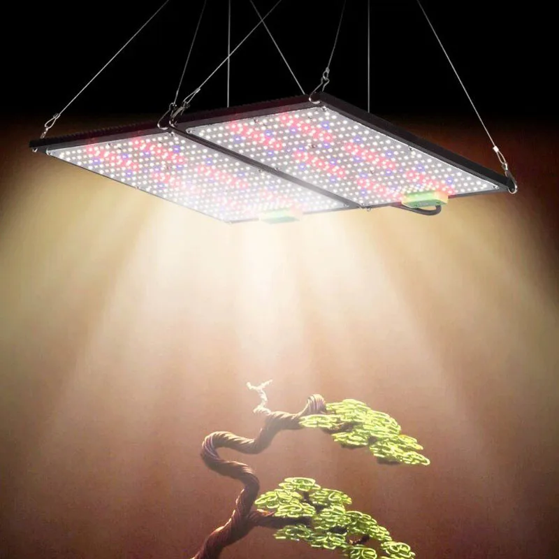 LED Quantum‑Board Grow Light F - Indoor Plants 评论和价格